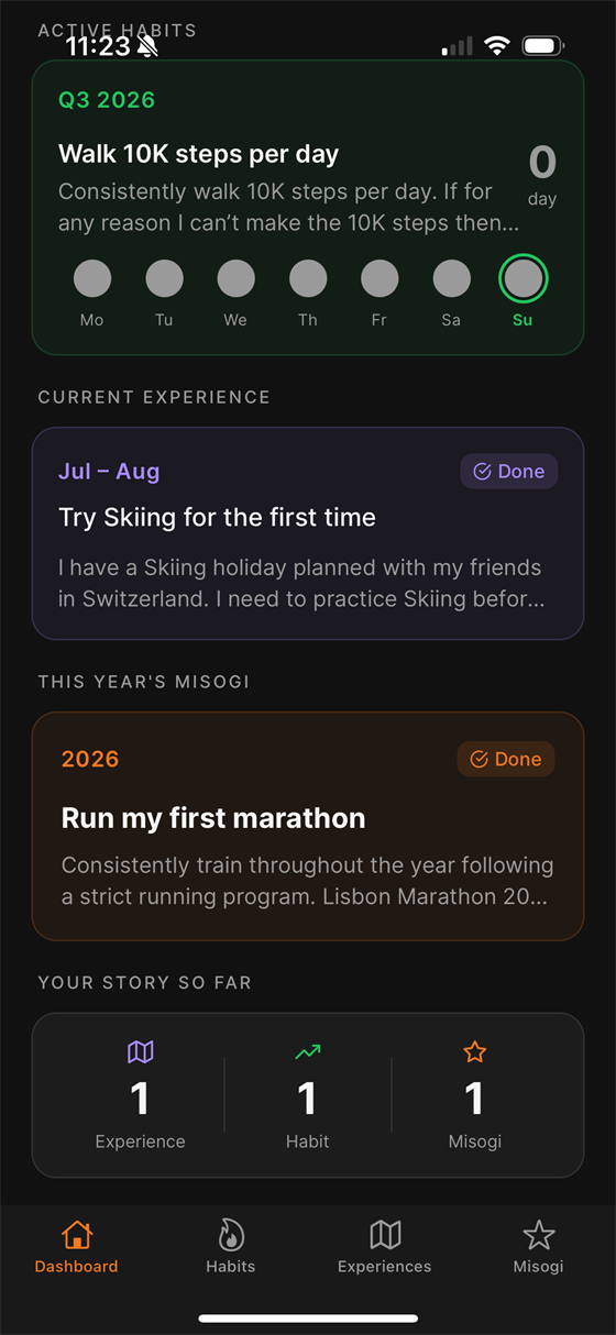 The Long Game dashboard showing completed habit, experience, and Misogi for the year